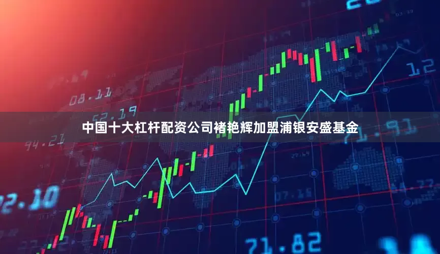 中国十大杠杆配资公司褚艳辉加盟浦银安盛基金
