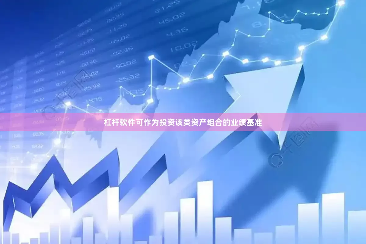 杠杆软件可作为投资该类资产组合的业绩基准