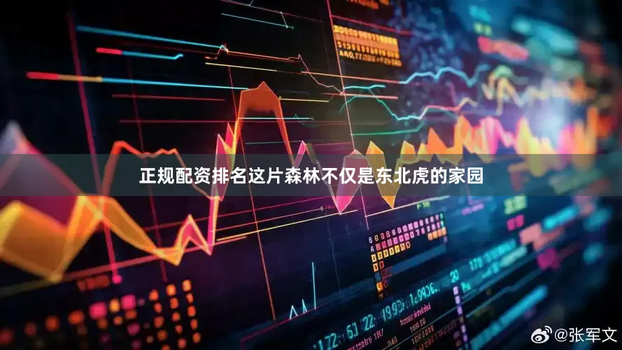 正规配资排名这片森林不仅是东北虎的家园