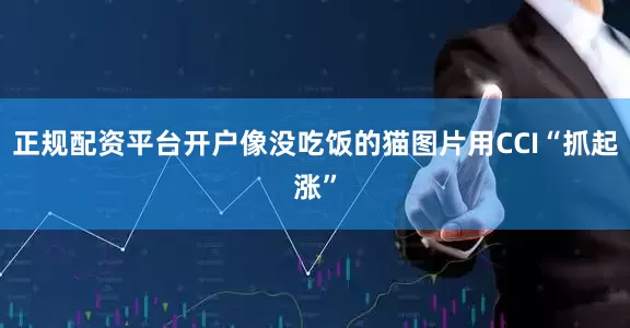 正规配资平台开户像没吃饭的猫图片用CCI“抓起涨”
