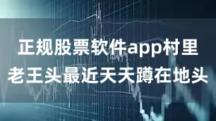 正规股票软件app村里老王头最近天天蹲在地头