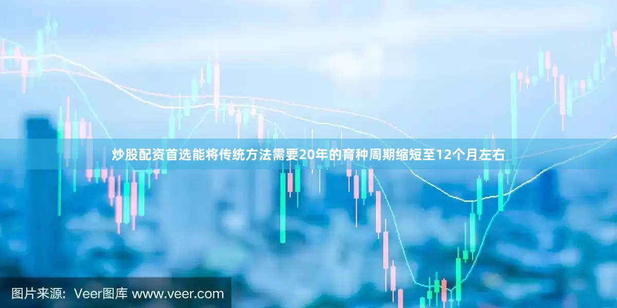 炒股配资首选能将传统方法需要20年的育种周期缩短至12个月左右