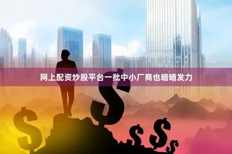 网上配资炒股平台一批中小厂商也暗暗发力